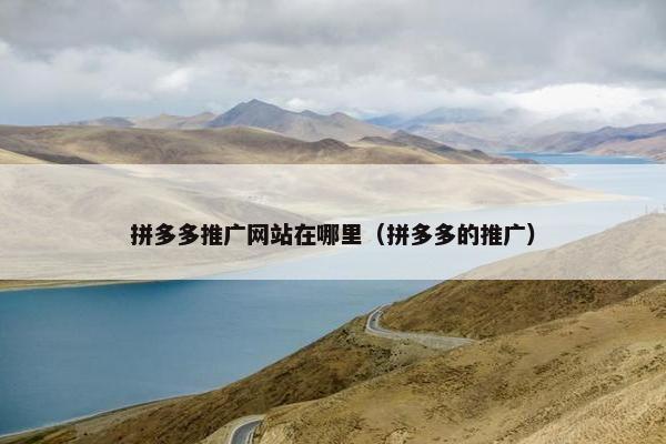 拼多多推广网站在哪里（拼多多的推广）