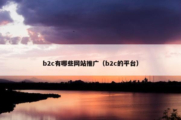 b2c有哪些网站推广（b2c的平台）
