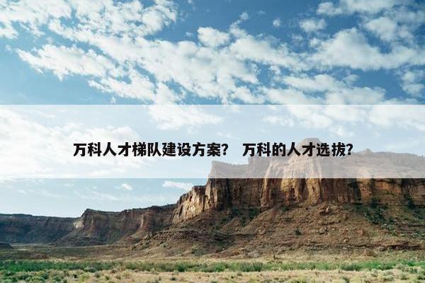 万科人才梯队建设方案？ 万科的人才选拔？