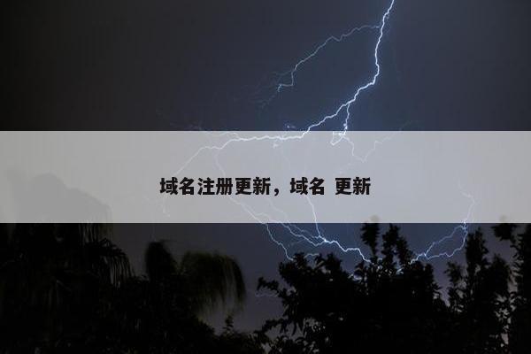 域名注册更新，域名 更新