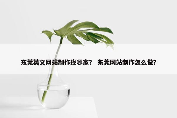 东莞英文网站制作找哪家？ 东莞网站制作怎么做？