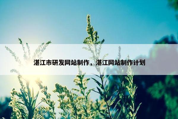 湛江市研发网站制作，湛江网站制作计划