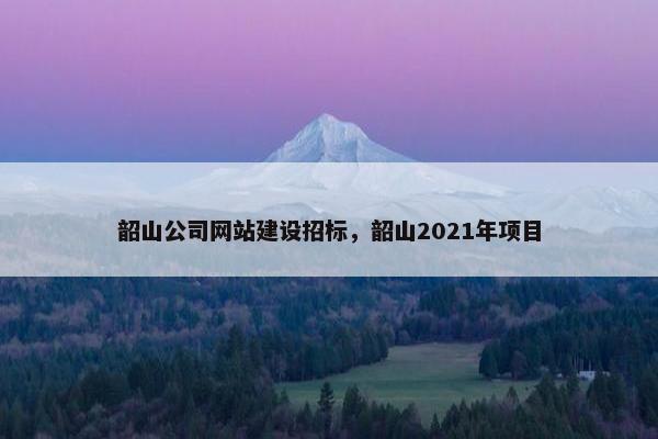 韶山公司网站建设招标，韶山2021年项目