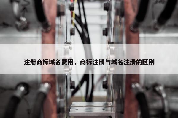 注册商标域名费用，商标注册与域名注册的区别