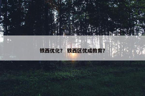 铁西优化？ 铁西区优成教育？