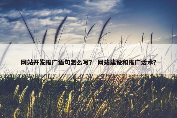 网站开发推广语句怎么写？ 网站建设和推广话术？