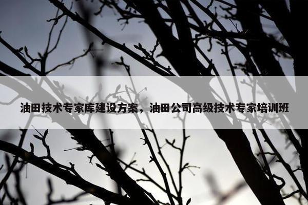油田技术专家库建设方案，油田公司高级技术专家培训班