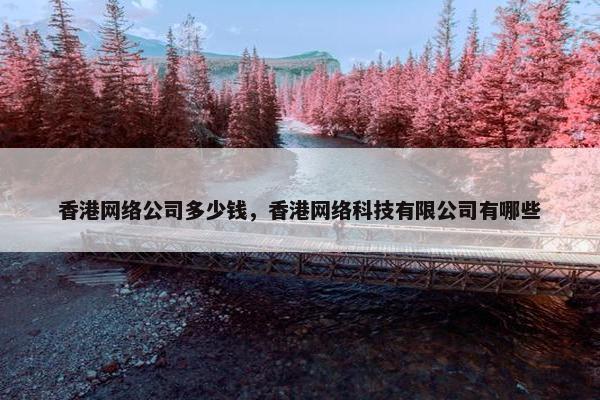 香港网络公司多少钱，香港网络科技有限公司有哪些