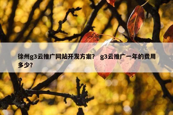 徐州g3云推广网站开发方案？ g3云推广一年的费用多少？