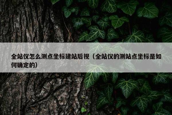 全站仪怎么测点坐标建站后视（全站仪的测站点坐标是如何确定的）