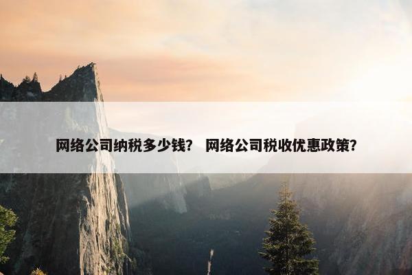 网络公司纳税多少钱？ 网络公司税收优惠政策？