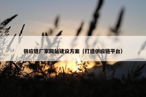 供应链厂家网站建设方案（打造供应链平台）