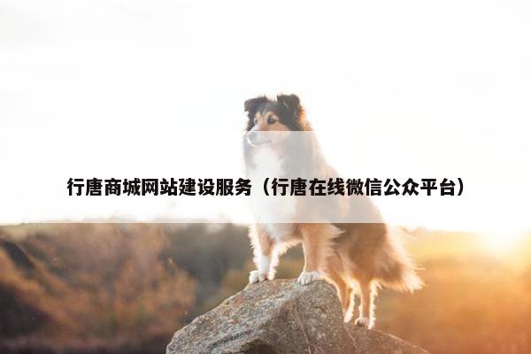 行唐商城网站建设服务（行唐在线微信公众平台）
