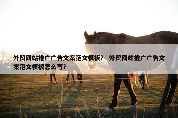外贸网站推广广告文案范文模板？ 外贸网站推广广告文案范文模板怎么写？