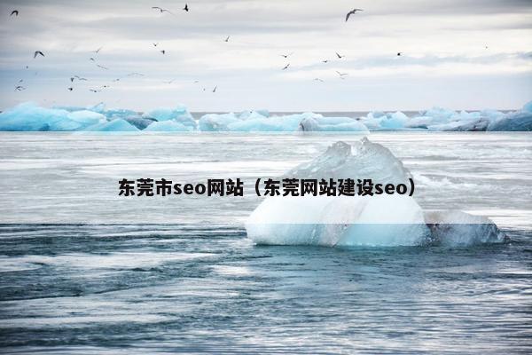 东莞市seo网站（东莞网站建设seo）