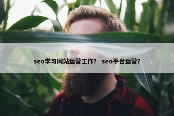seo学习网站运营工作？ seo平台运营？