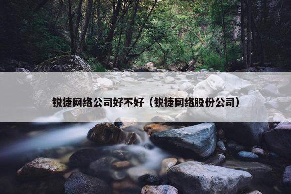 锐捷网络公司好不好（锐捷网络股份公司）