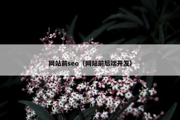 网站前seo（网站前后端开发）