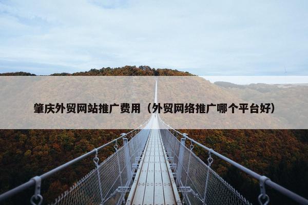 肇庆外贸网站推广费用（外贸网络推广哪个平台好）
