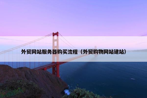外贸网站服务器购买流程（外贸购物网站建站）