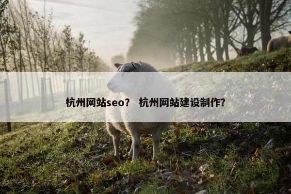 杭州网站seo？ 杭州网站建设制作？