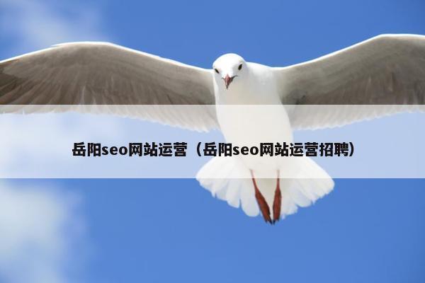岳阳seo网站运营（岳阳seo网站运营招聘）