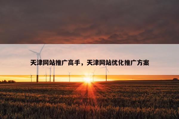 天津网站推广高手，天津网站优化推广方案