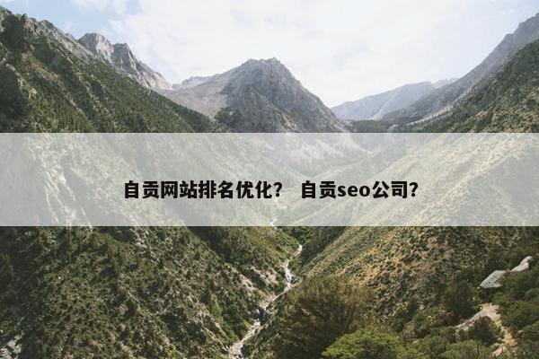 自贡网站排名优化？ 自贡seo公司？