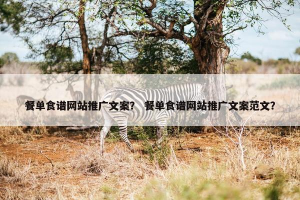 餐单食谱网站推广文案？ 餐单食谱网站推广文案范文？