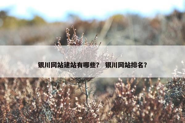 银川网站建站有哪些？ 银川网站排名？