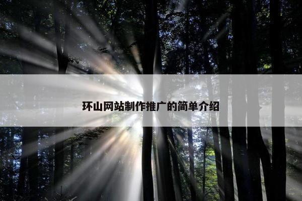 环山网站制作推广的简单介绍