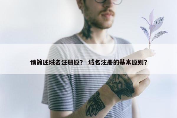 请简述域名注册原？ 域名注册的基本原则？
