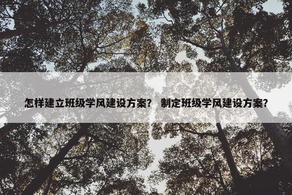 怎样建立班级学风建设方案？ 制定班级学风建设方案？