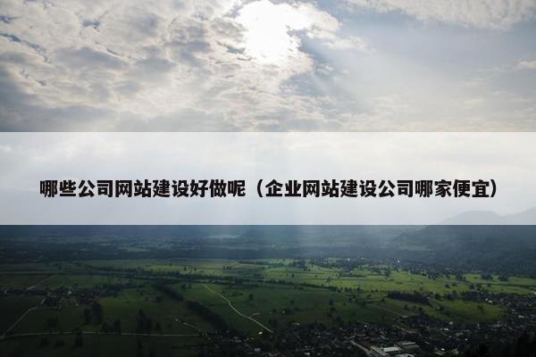 哪些公司网站建设好做呢（企业网站建设公司哪家便宜）