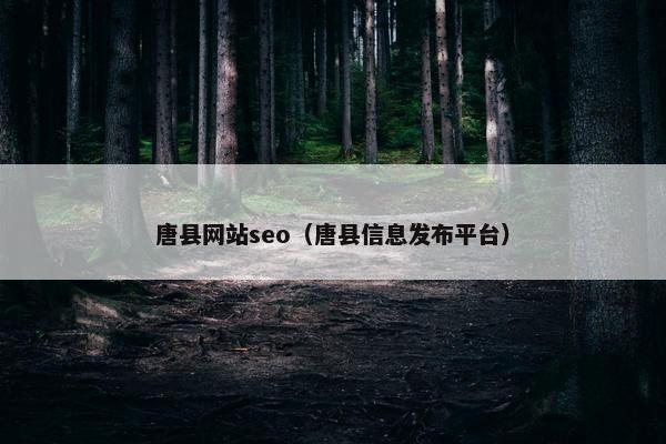 唐县网站seo（唐县信息发布平台）