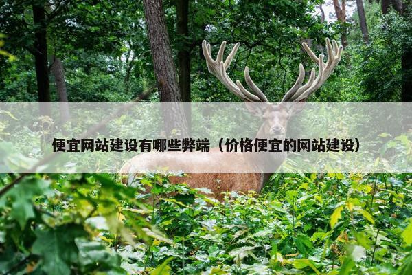 便宜网站建设有哪些弊端（价格便宜的网站建设）