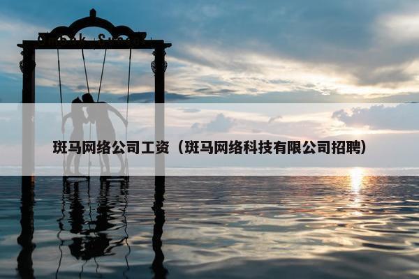 斑马网络公司工资（斑马网络科技有限公司招聘）