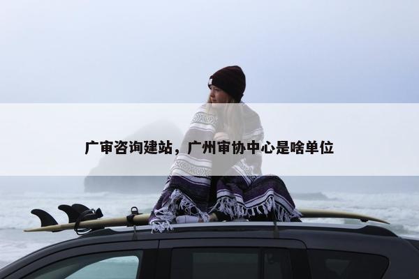 广审咨询建站，广州审协中心是啥单位
