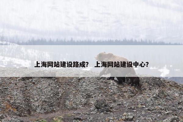 上海网站建设路成？ 上海网站建设中心？