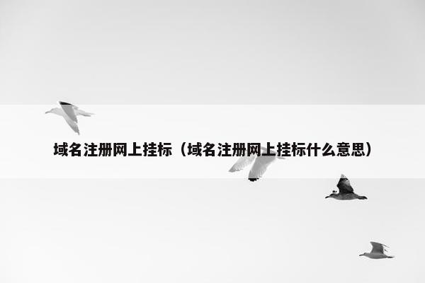 域名注册网上挂标（域名注册网上挂标什么意思）