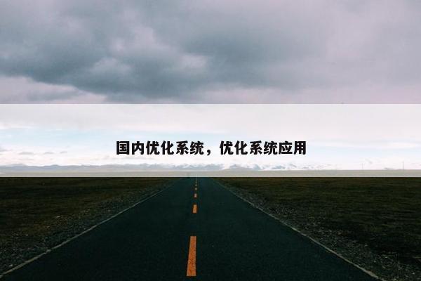 国内优化系统，优化系统应用