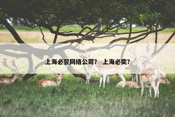 上海必翌网络公司？ 上海必奕？