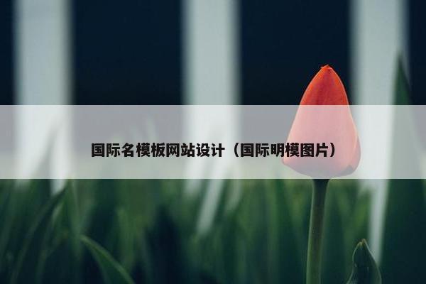 国际名模板网站设计（国际明模图片）