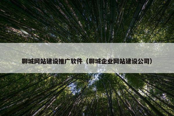 聊城网站建设推广软件（聊城企业网站建设公司）