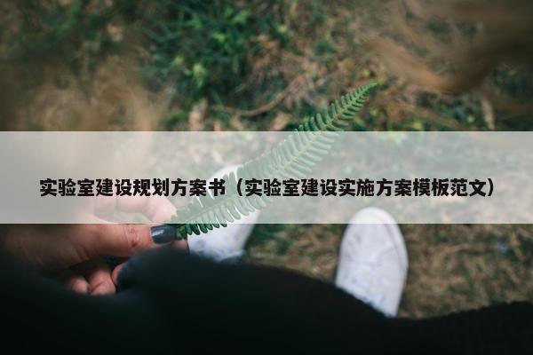 实验室建设规划方案书（实验室建设实施方案模板范文）