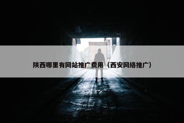陕西哪里有网站推广费用（西安网络推广）