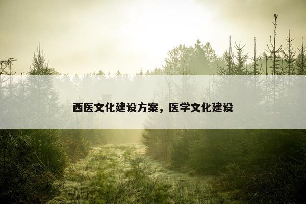 西医文化建设方案，医学文化建设