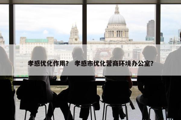 孝感优化作用？ 孝感市优化营商环境办公室？
