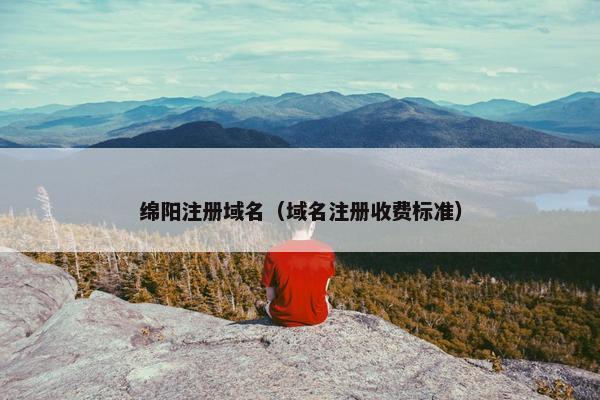 绵阳注册域名（域名注册收费标准）
