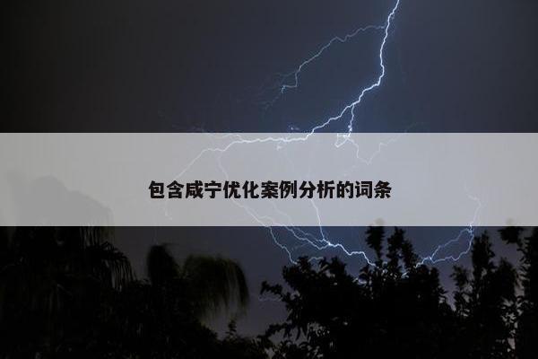 包含咸宁优化案例分析的词条